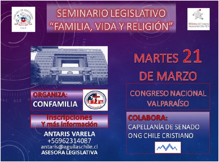 noticia639